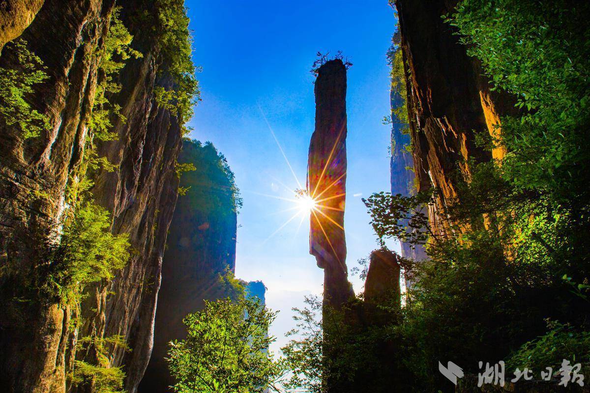 太阳城菲律宾网站